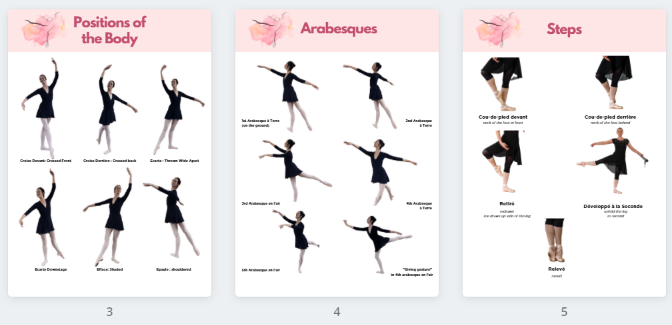 Ballet Dance Poster, Ballet Positions & Movements, Ballerina Art, POC –  Smarty Prints